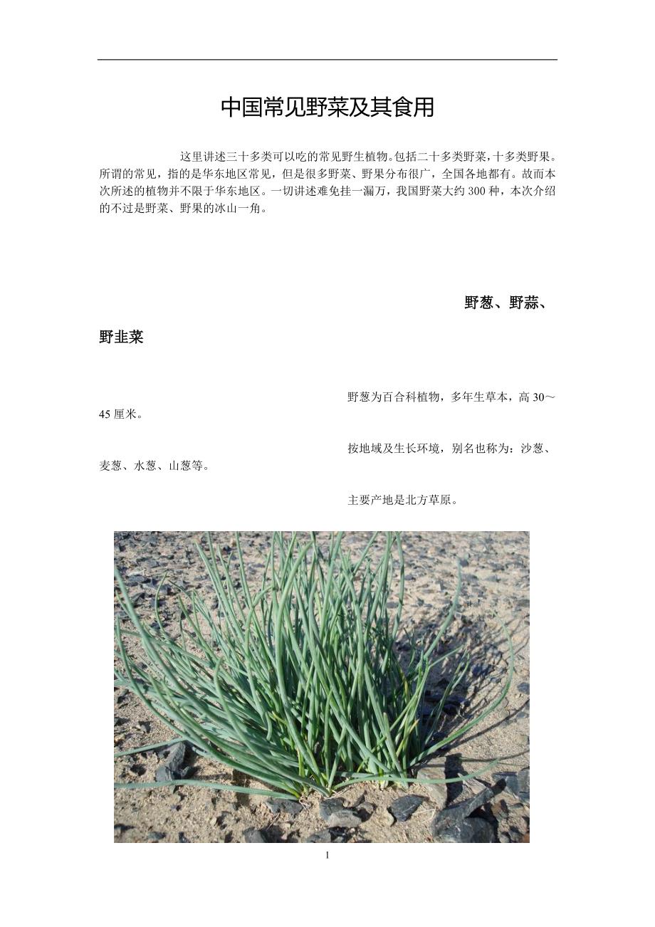 农村最为常见的药草汇编_第1页