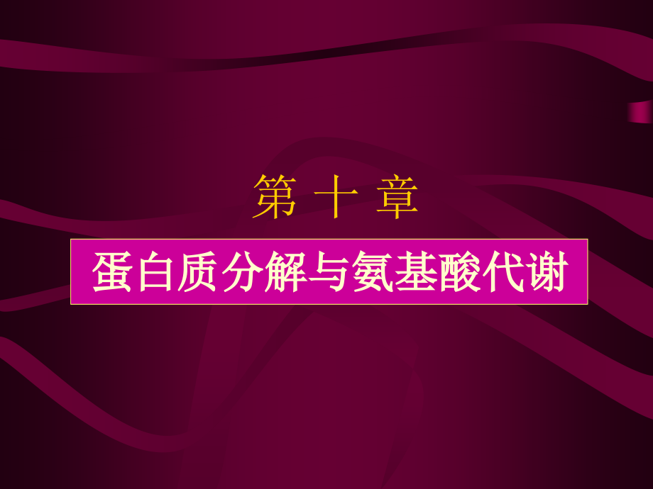 王玮生物化学第10章_第1页