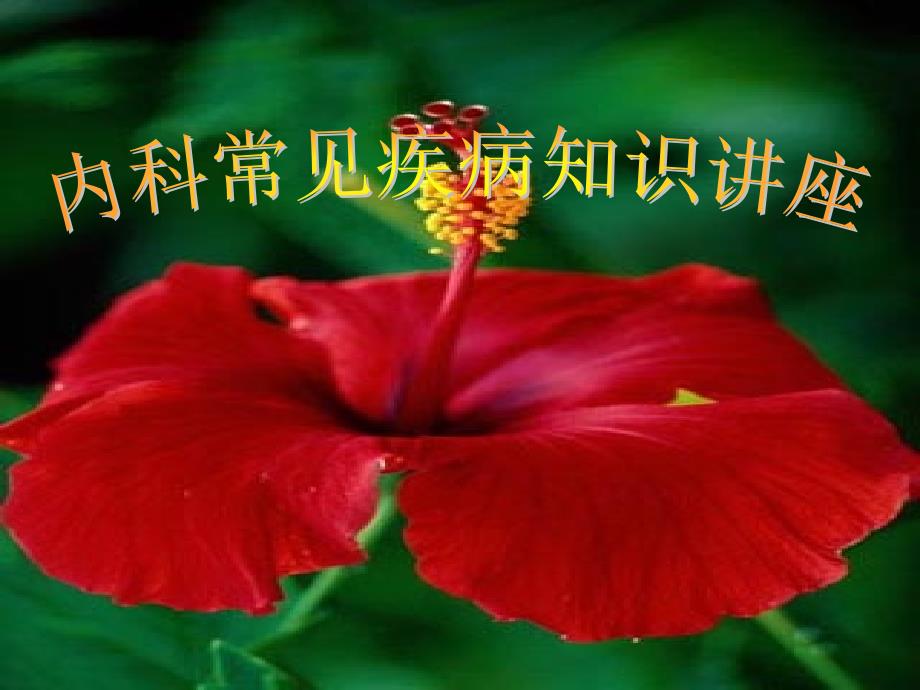 内科常见疾病汇编_第1页
