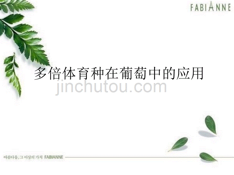 多倍体育种在葡萄中的应用_第1页