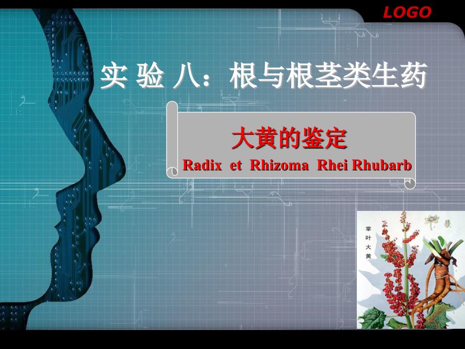 大黄的鉴定实验_第1页