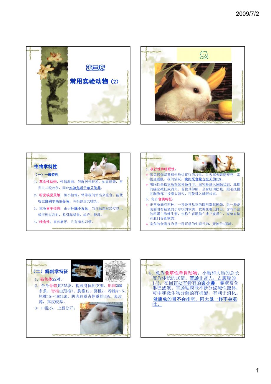第3章 常用实验动物(2)_第1页