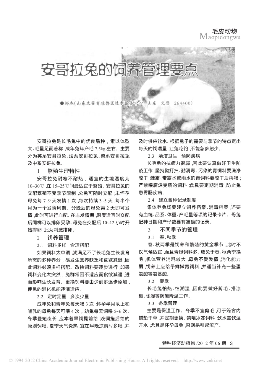 安哥拉兔的饲养管理要点_第1页