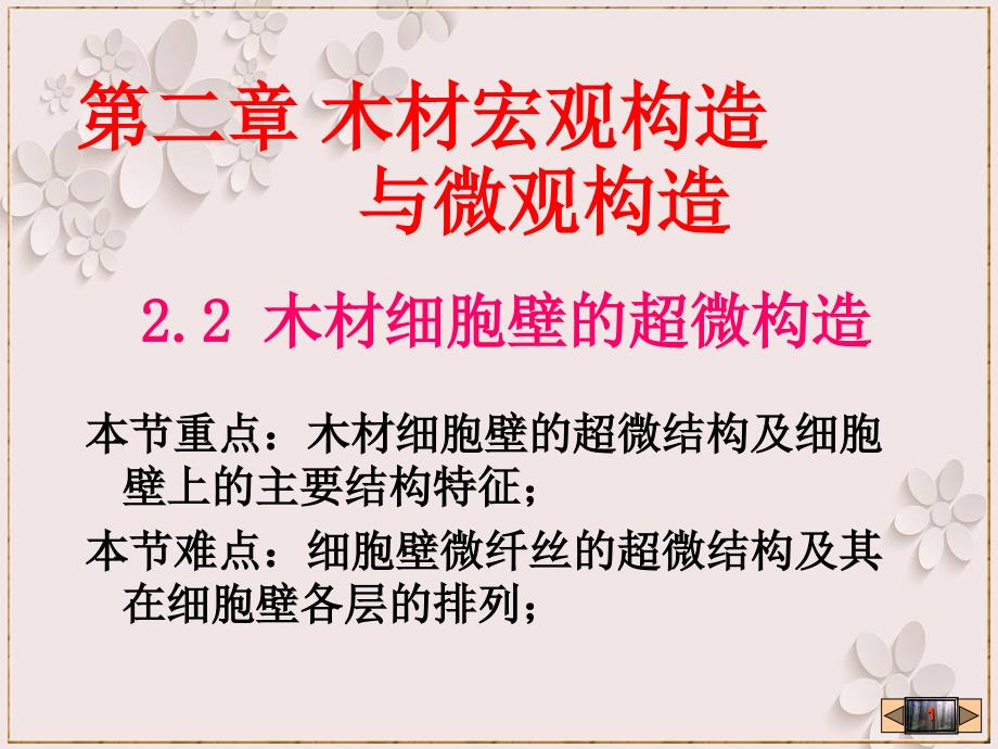 木材细胞壁超微内部构造_第1页