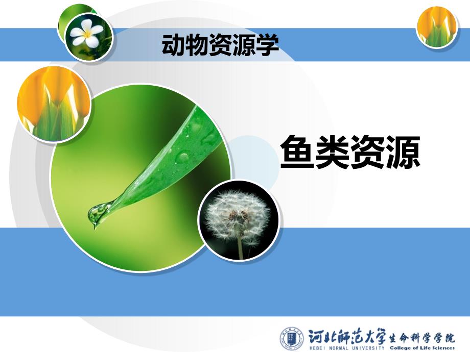 2鱼类资源-(2)_第1页