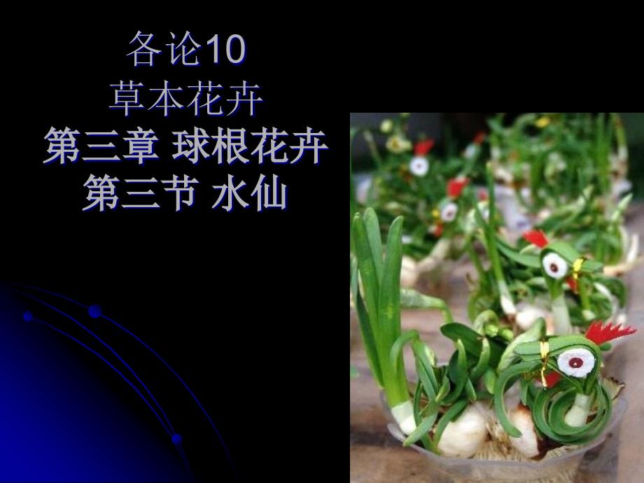 各论10草本花卉球根花卉水仙_第1页