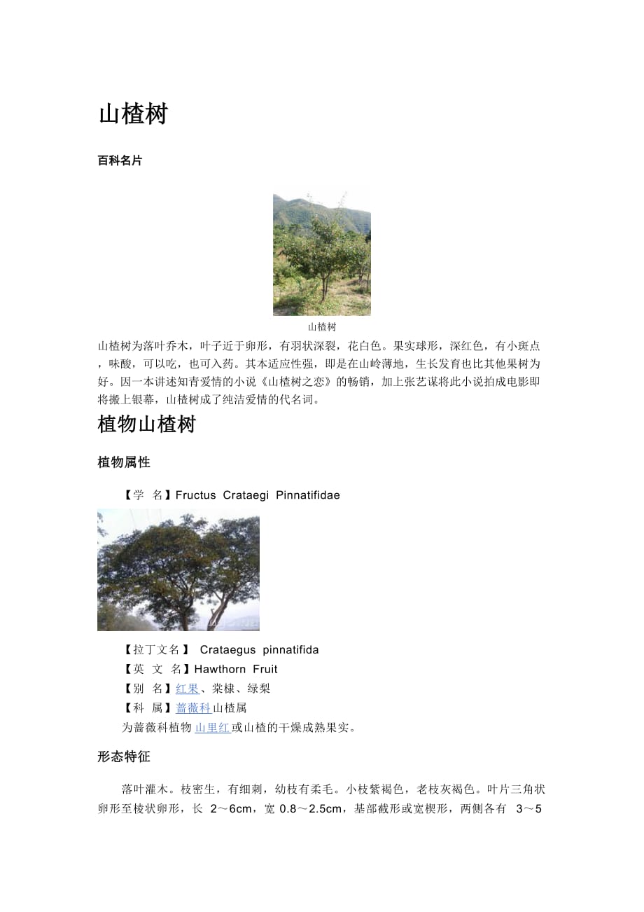 山楂树_第1页