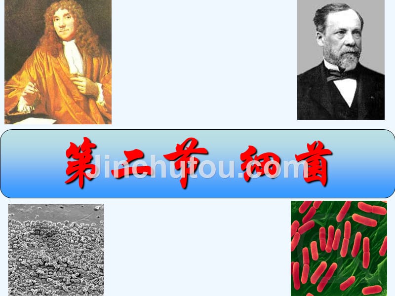 初二上册《细菌》_第1页