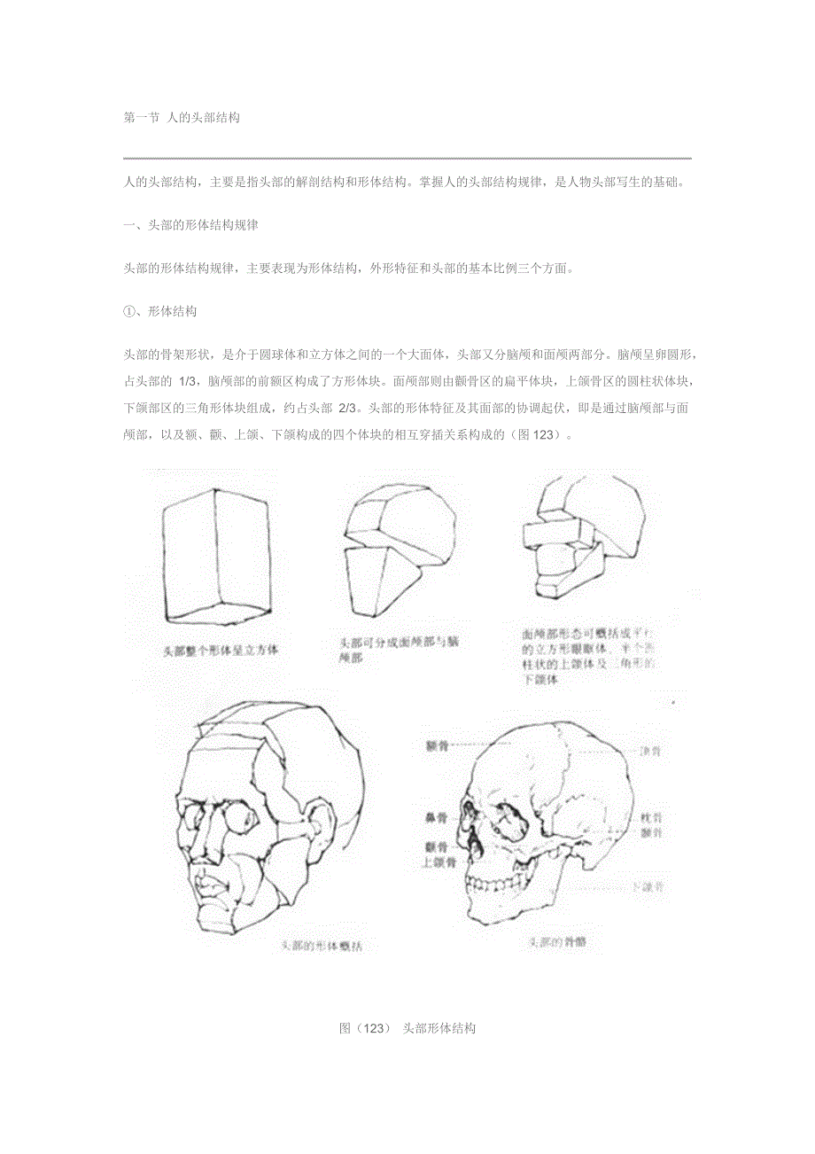 第一节 人的头部结构_第1页