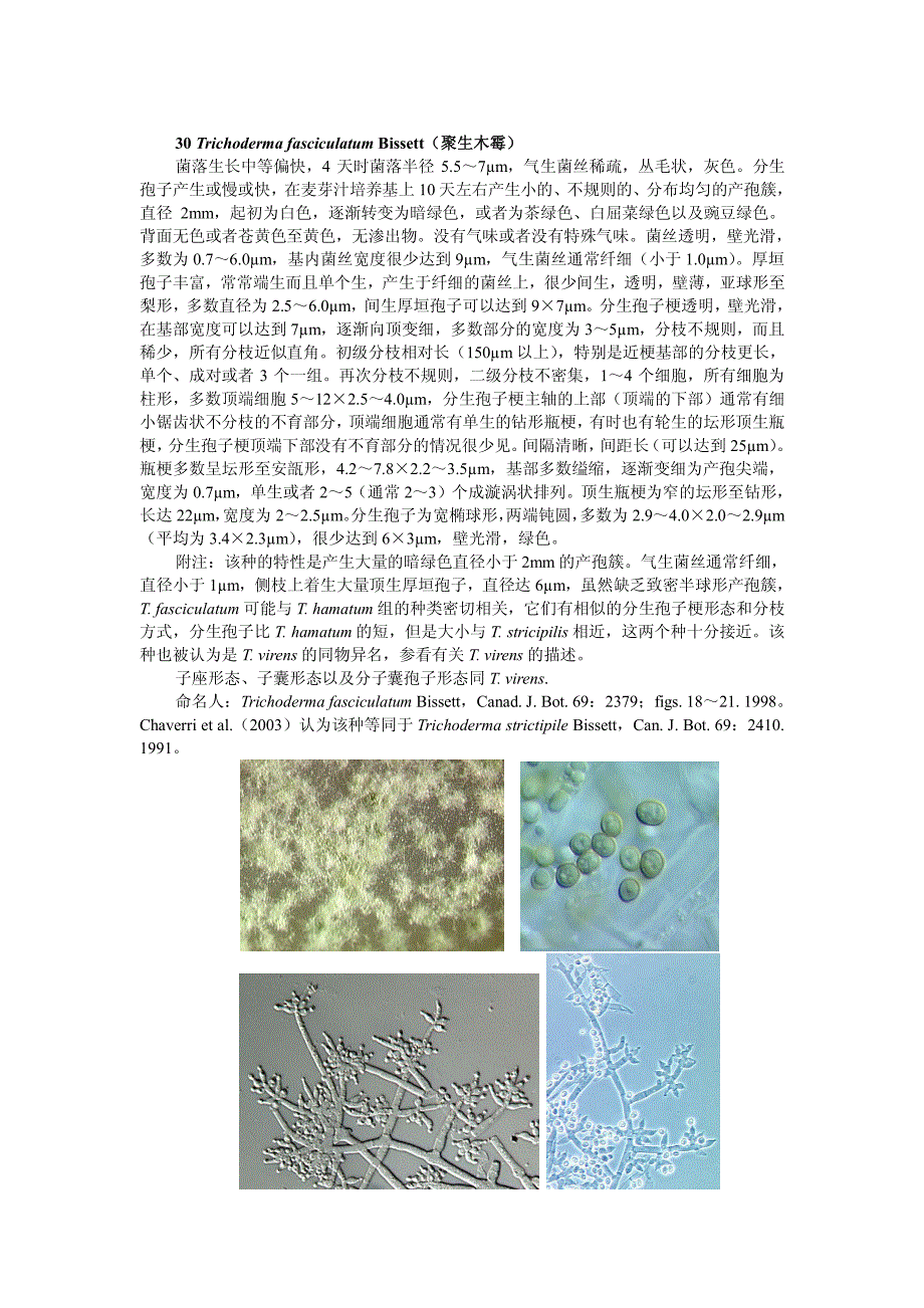 木霉分类与鉴定(杨合同著2)_第1页