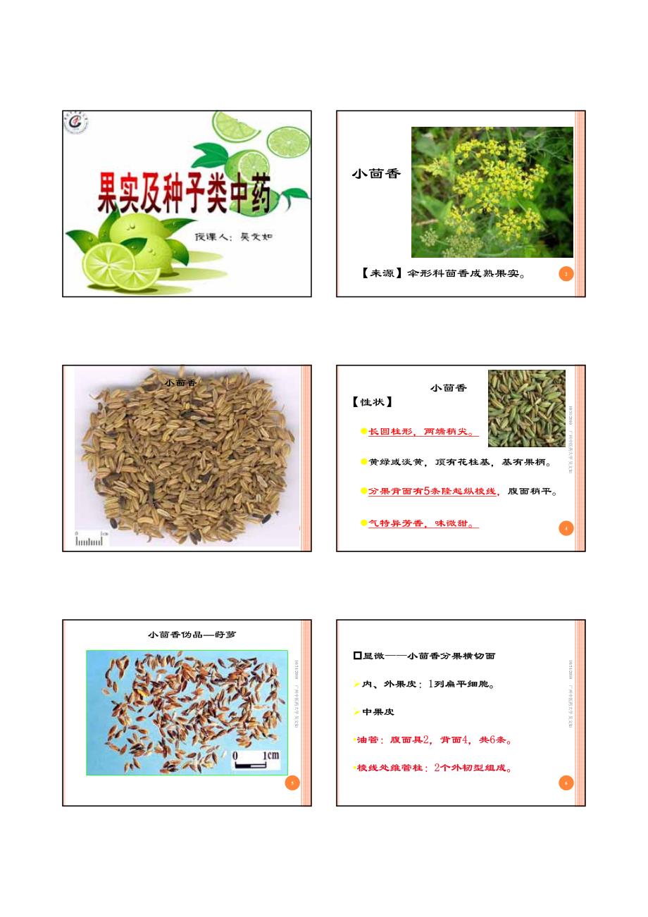 果实种子类2_第1页