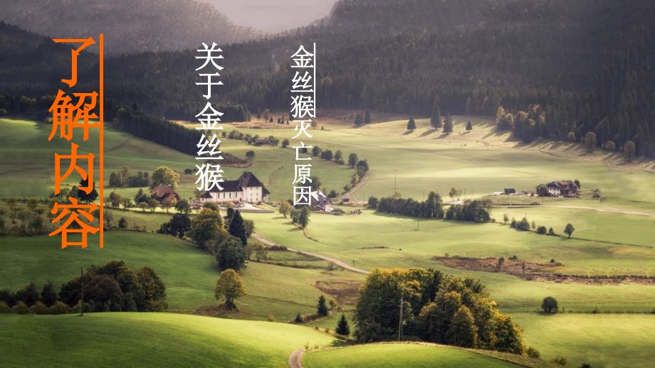 生物人教版初二上册第二组 金丝猴_第1页