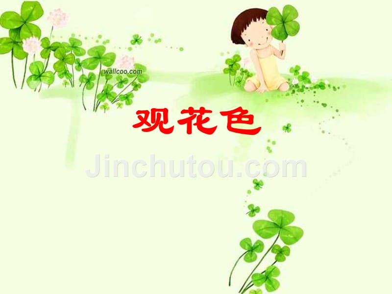苏教版初二语文下册《花儿为什么这样红》课件_第1页