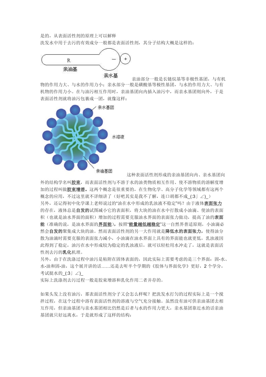 洗发水去污原理_第1页