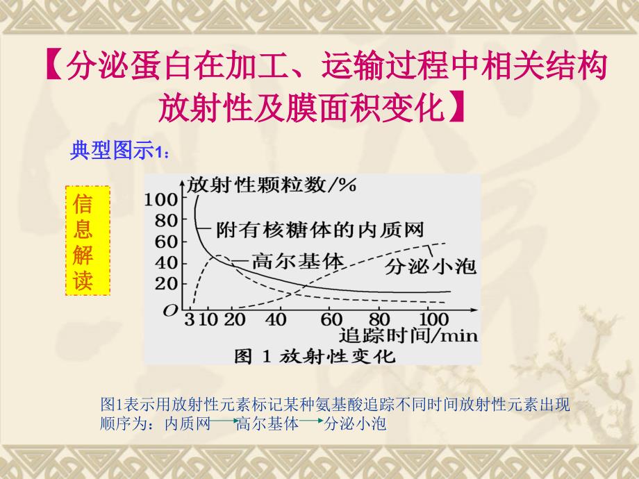 分泌蛋白;跨膜运输常考图示 集合_第1页