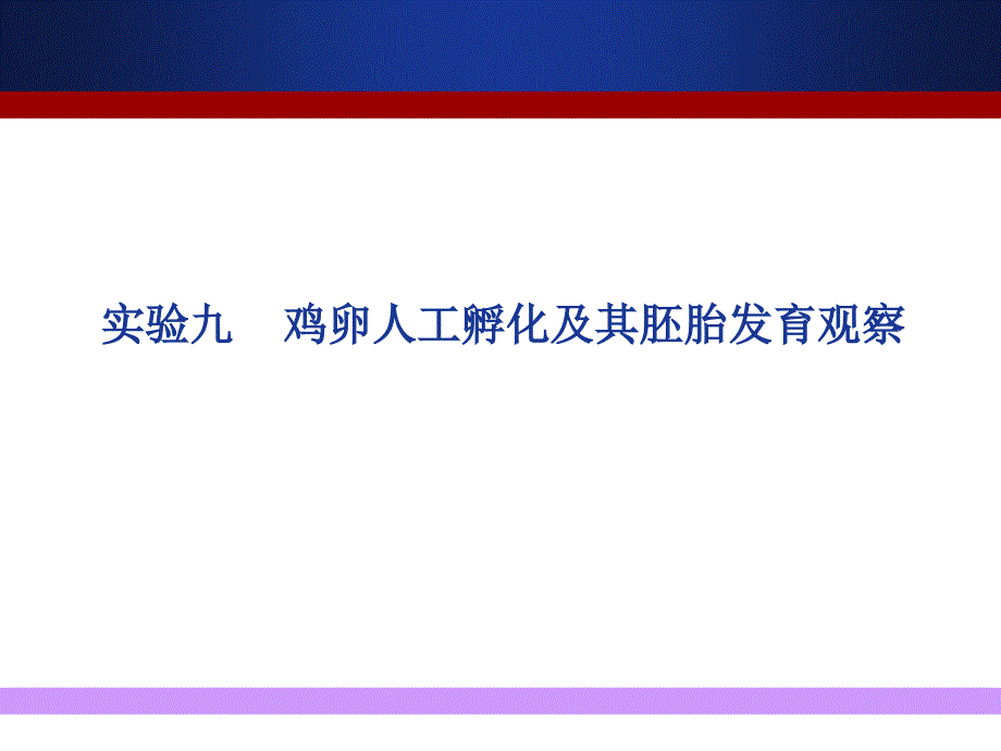 实验-鸡卵人工孵化及其胚胎发育 观察_第1页
