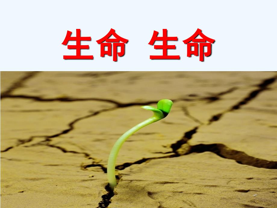 人教版语文四年级下册生命 生命第一课时_第1页