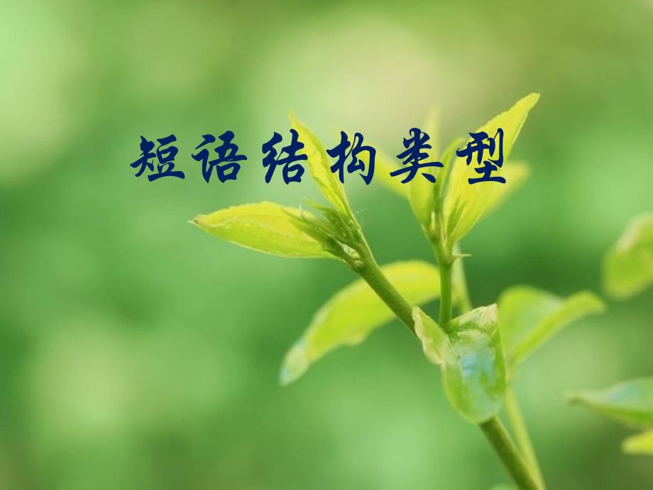 语文人教版部编七年级上册短语结构类型_第1页