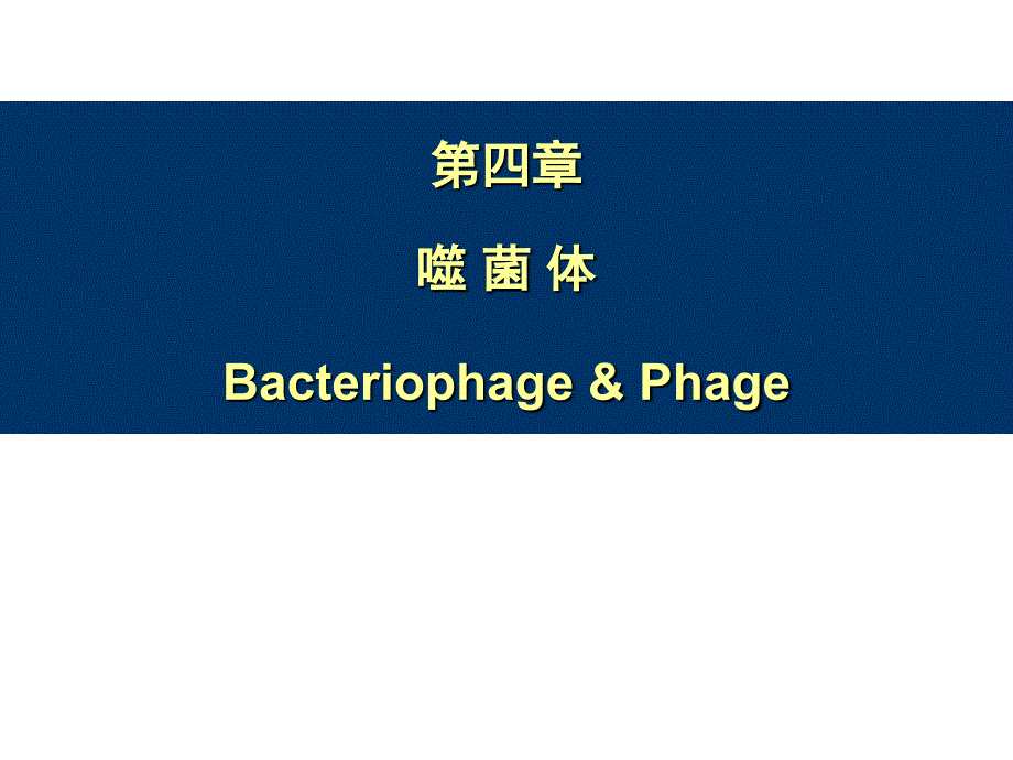噬菌体bacteriophage & phage_第1页