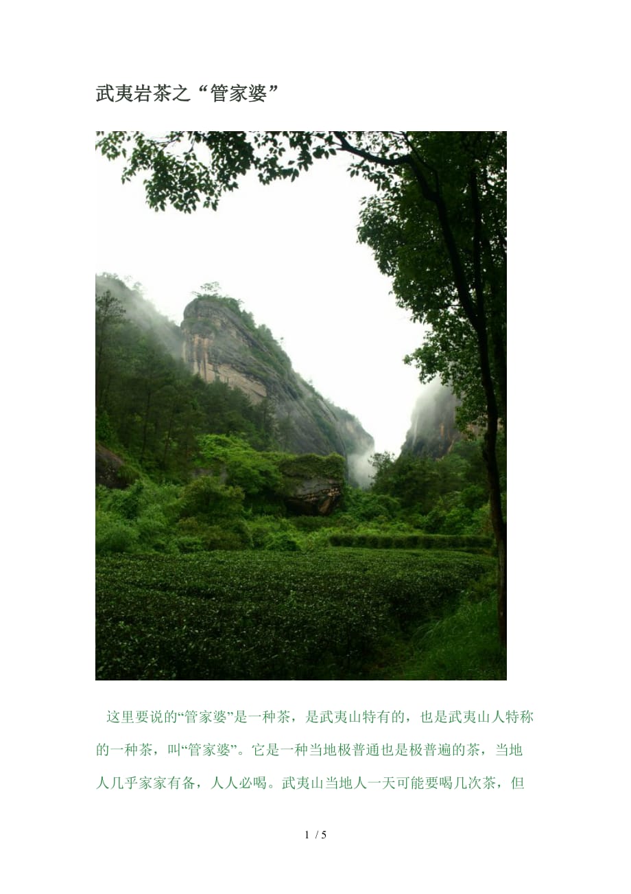 武夷岩茶之管家婆_第1页