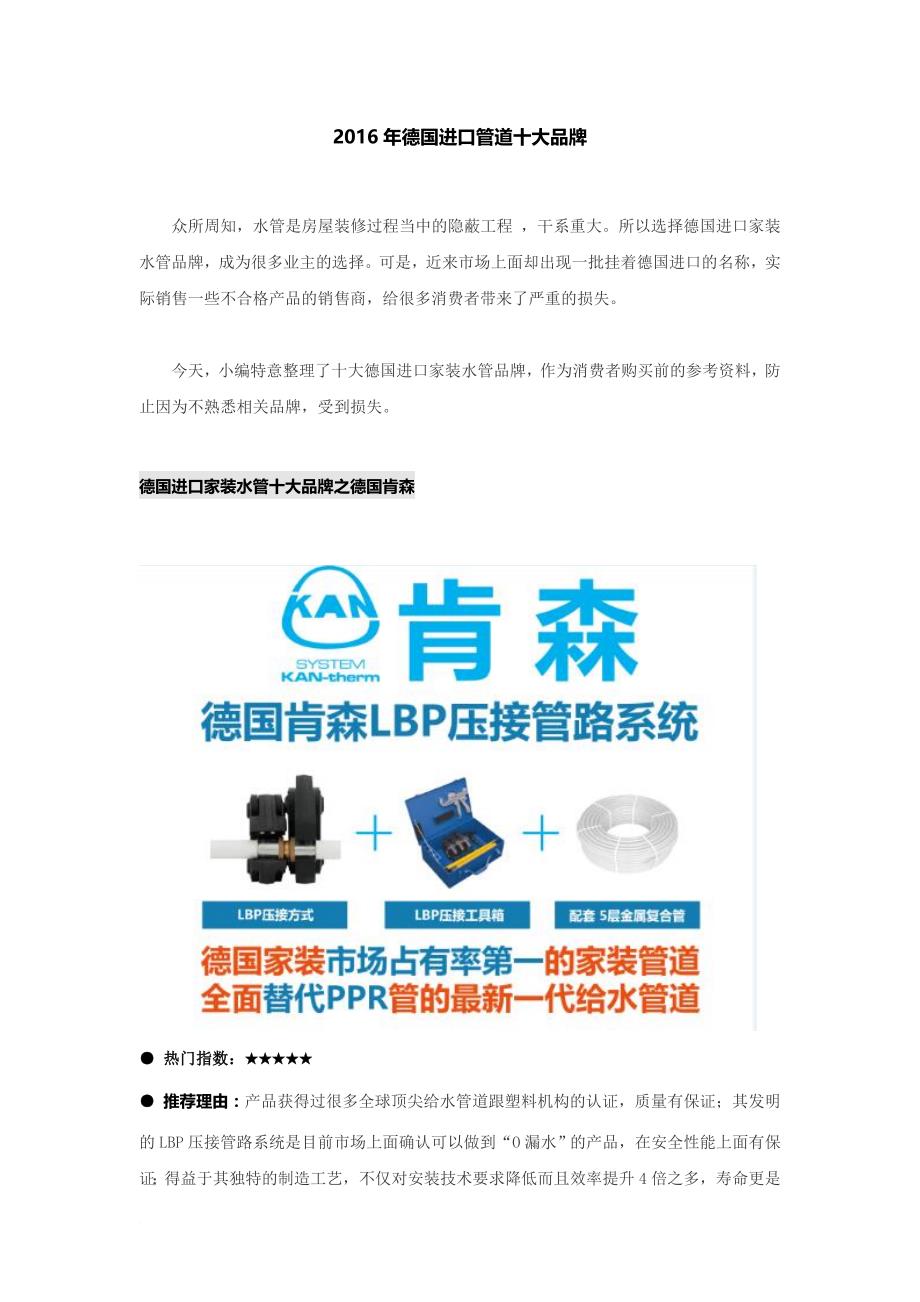 德国进口管道十大品牌.doc_第1页