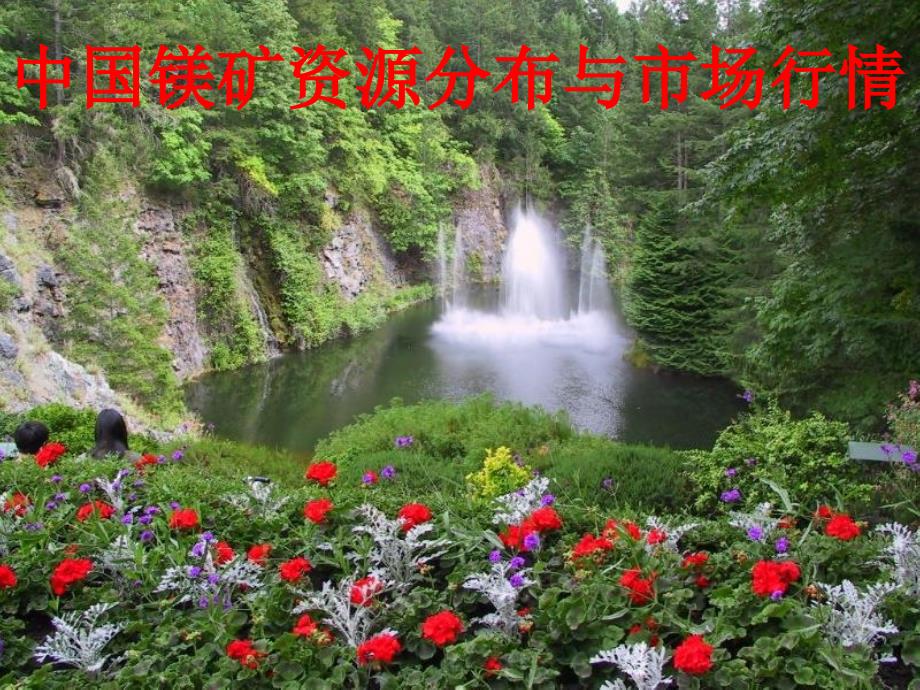 中国镁矿资源分布与市场价格走势._第1页