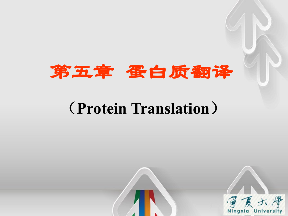 基因表达蛋白质翻译_第1页