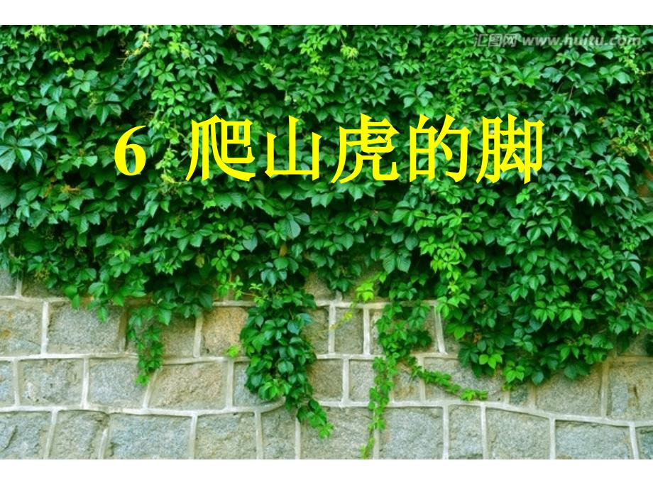 四年级下册6爬山虎的脚(精华版)解析_第1页