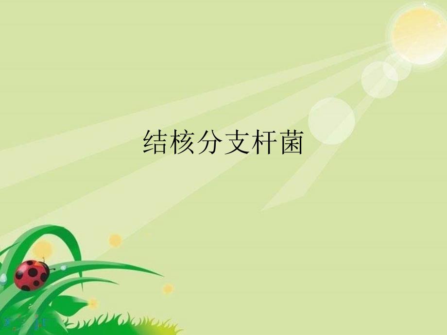 结核分支杆菌精品课件讲解_第1页