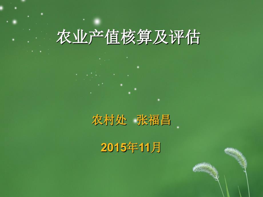 农业核算及评估(._第1页