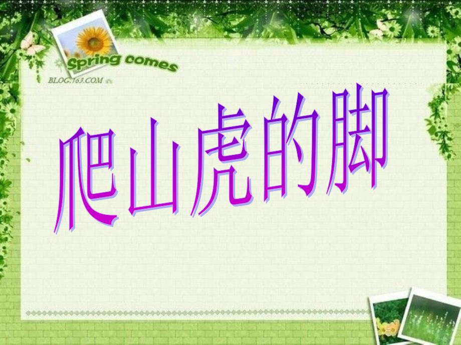 爬山虎的脚随堂课解析_第1页