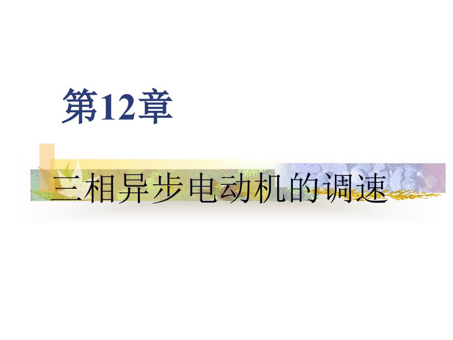 电机及拖动第12章._第1页