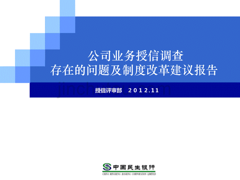 公司业务授信调查存在的问题及调查制度改革建议报告(培训版12.3)讲解_第1页