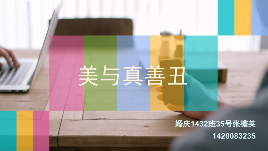 美与真善丑精要_第1页