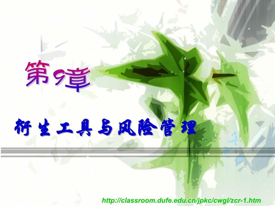 衍生工具与风险管理详解_第1页