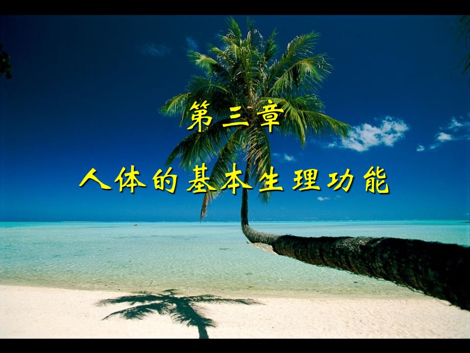 第三章人体的基本生理功能兴奋性_第1页