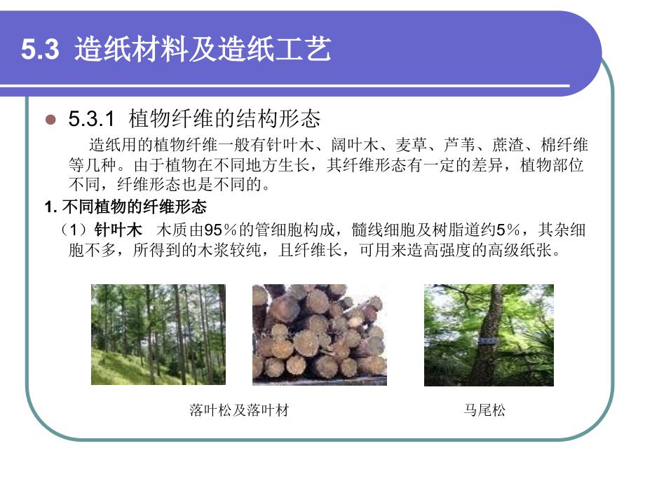 印刷与包装材料-第九讲造纸材料及造纸工艺解析_第1页