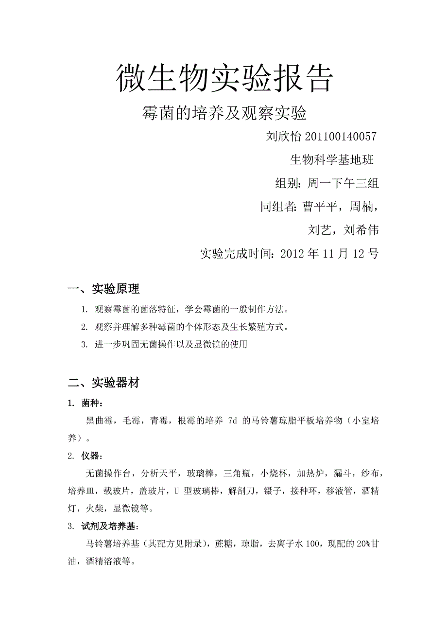 微生物实验6 霉菌_第1页