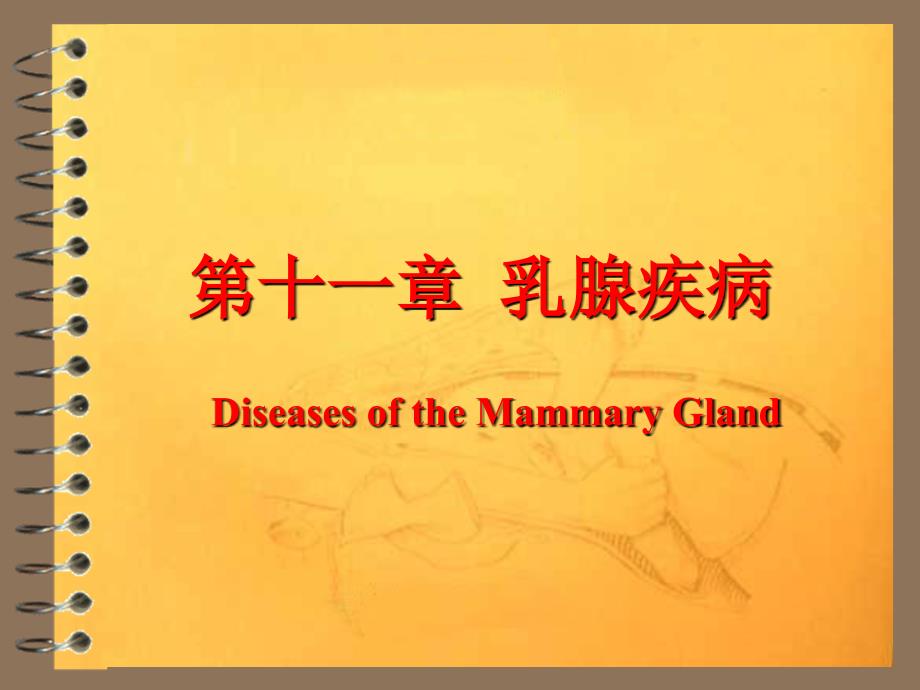 兽医产科学之乳腺疾病._第1页