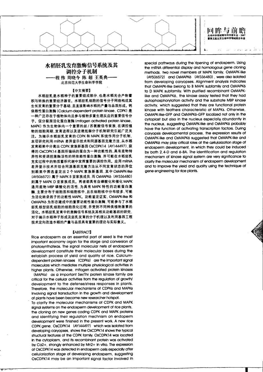 水稻胚乳发育激酶信号系统及其调控分子机制_第1页