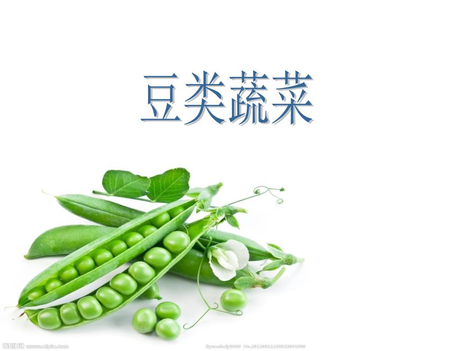 蔬菜营养与健康07豆类蔬菜讲述_第1页
