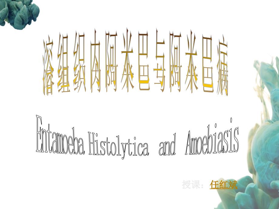 溶组织内阿米巴和阿米巴病讲义_第1页