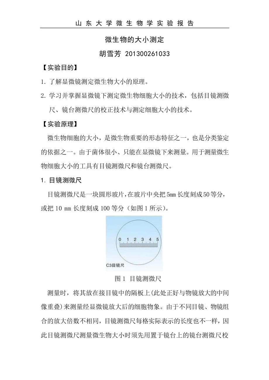 微生物大小测定资料_第1页