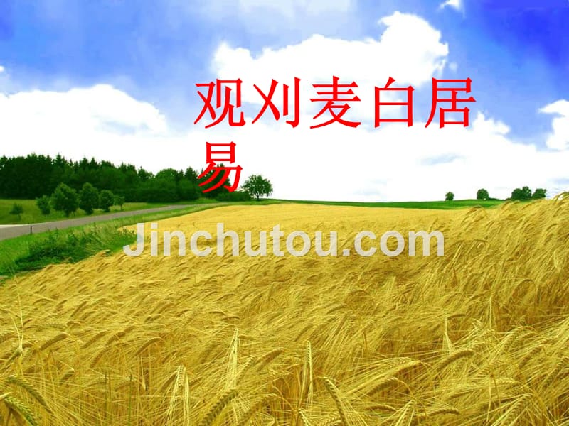 八年级语文上册 第六单元 21 观刈麦 语文版_第1页