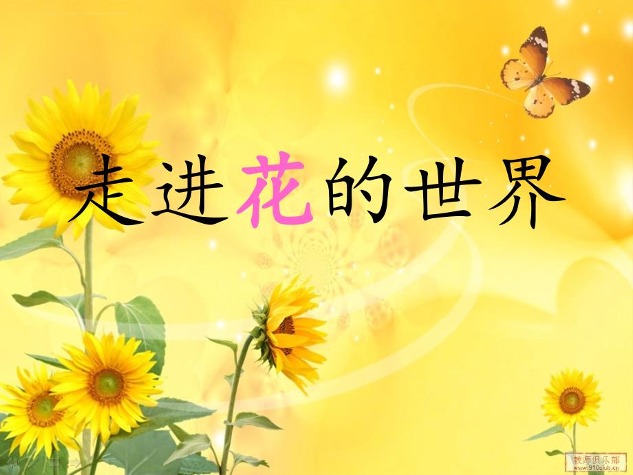 走进花的世界课件PPT_第1页