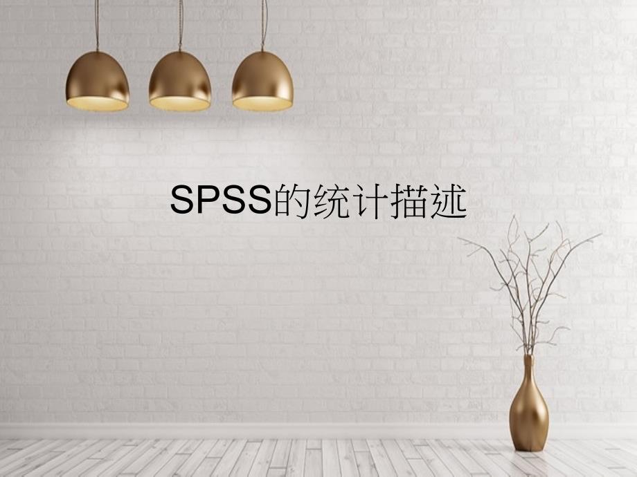 SPSS的统计描述方向_第1页
