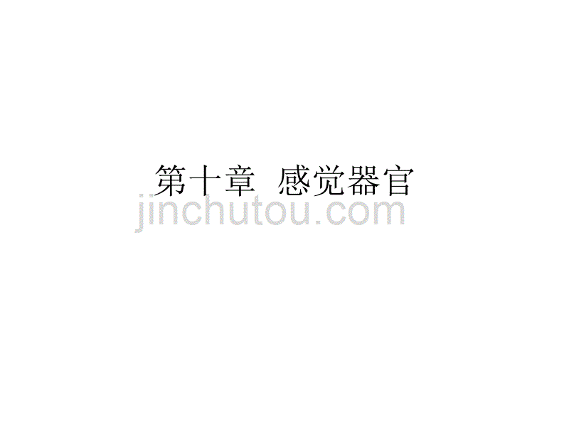 人体解剖学感官视器_第1页