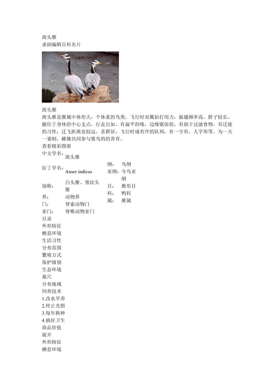 斑头雁_第1页