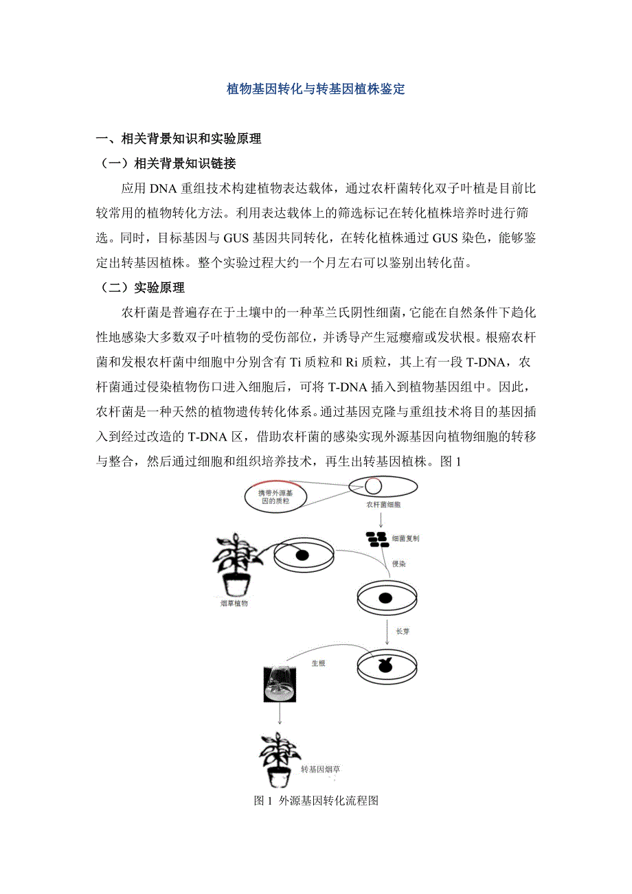 植物基因转化与转基因植株鉴定_第1页