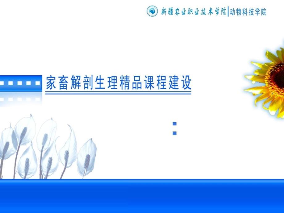动物解剖学之呼吸系统_第1页